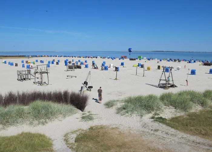 Entenkoje By Fewo-plan Dorn300 An Der Nordsee Bei Dornumersiel * Dornum